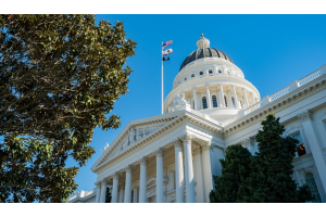 A New Law Streamlines California Mental Health Providers Mandatory Reporting Responsibilities