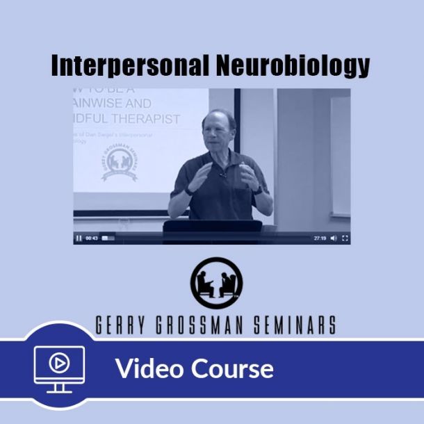 5-Hour CE Interpersonal Neurobiology Online Video Course